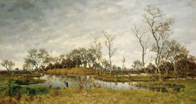 Landscape of swamp with heron